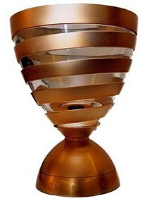champion coupe-ligue champion coupe-ligue